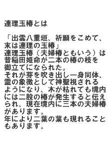 連理の玉椿とは